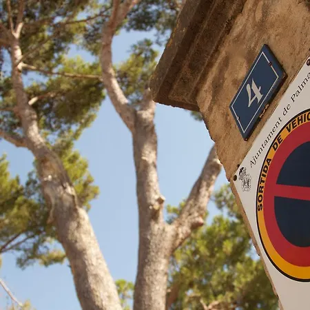 Els Pins * Palma de Mallorca